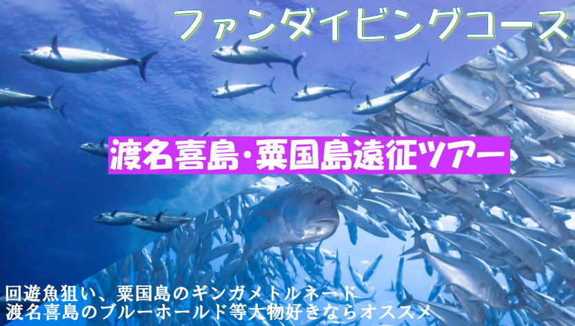 渡名喜・粟国遠征