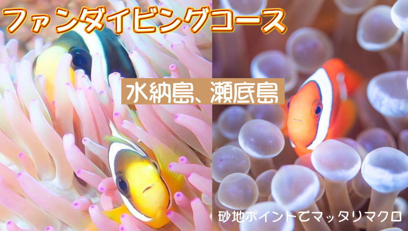 水納島・瀬底島