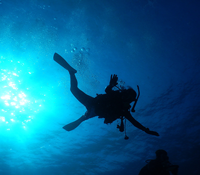 ダイバーイメージ