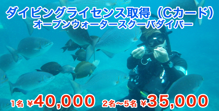 ダイビングライセンスバナー